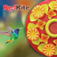BEBEDERO DISCO FLORAL P/COLIBRI 500 ML REDKITE