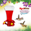 BEBEDERO DIAMANTE P/COLIBRI 700 ML REDKITE