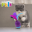 JUGUETE HUEVO MAGICO C/CATNIP P/GATO PLAY FANCY PETS