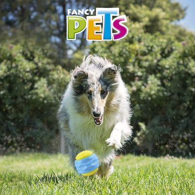 PELOTA CURVY C/SONIDO FETCH FANCY PETS