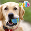PELOTA SPORT FETCH FANCY PETS