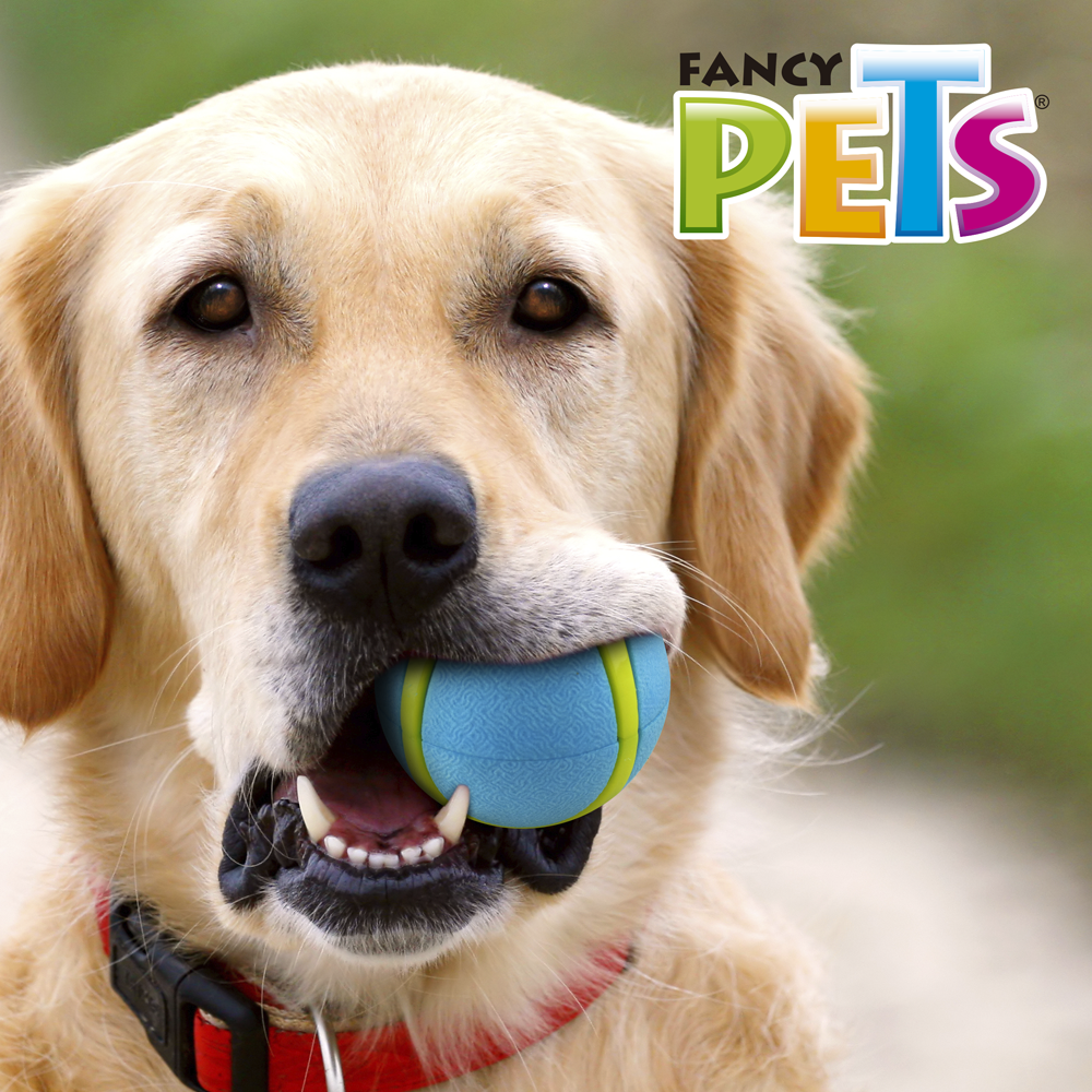 PELOTA SPORT FETCH FANCY PETS