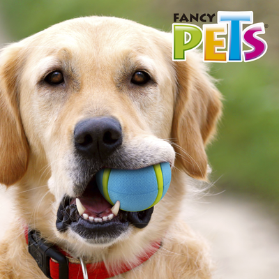 PELOTA SPORT FETCH FANCY PETS