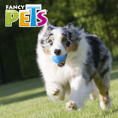 PELOTA FLASH C/SONIDO FETCH FANCY PETS