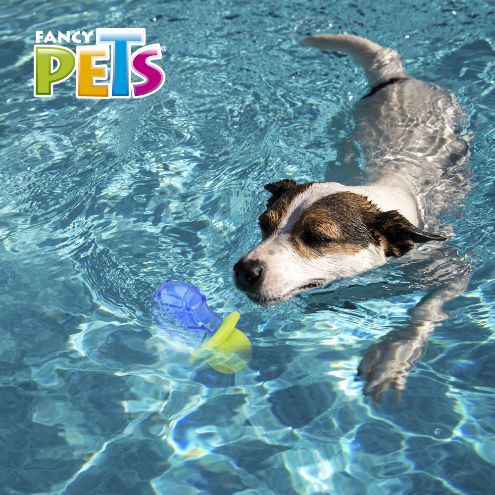 JUGUETE CHUPON CONGELABLE COOL FANCY PETS