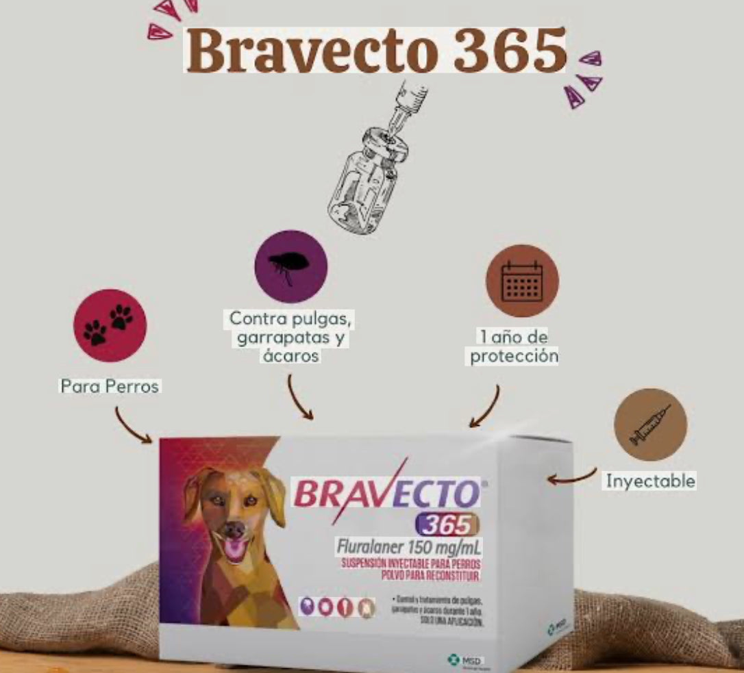 BRAVECTO 365 - MSD