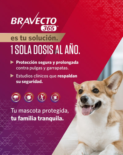 BRAVECTO 365 - MSD