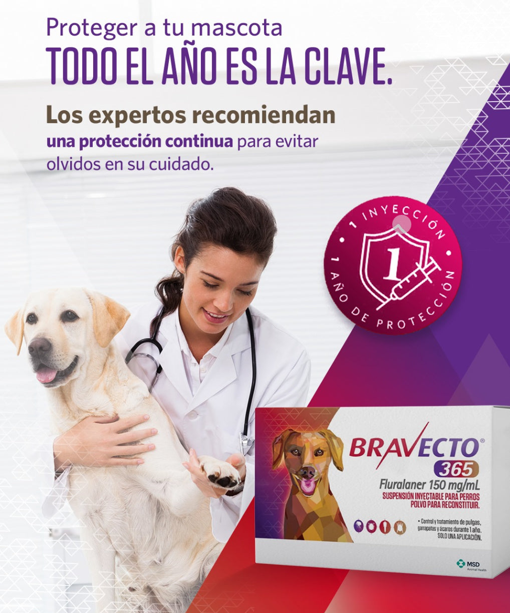 BRAVECTO 365 - MSD