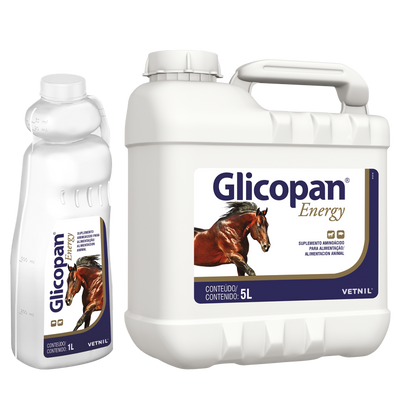 GLICOPAN ENERGY VETNIL LÍNEA EQUINOS