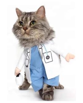 HW04 Disfraz Doctor, Paw Pets