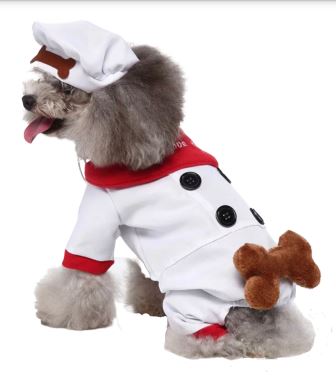 HW11 Disfraz Chef, Paw Pets