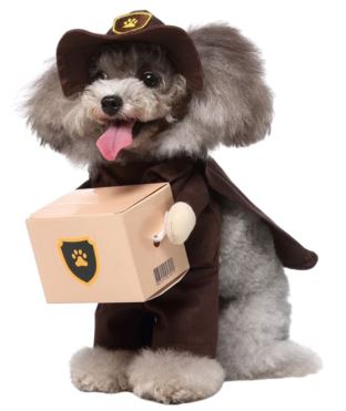 HW12 Disfraz Repartidor, Paw Pets
