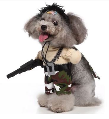 HW15 Disfraz Sargento, Paw Pets