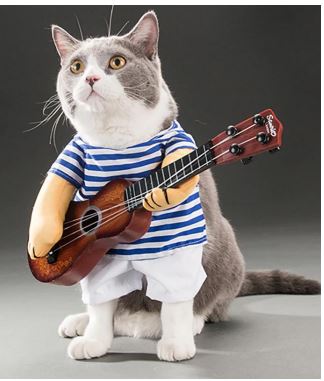 HW12 Disfraz Guitarrista, Paw Pets