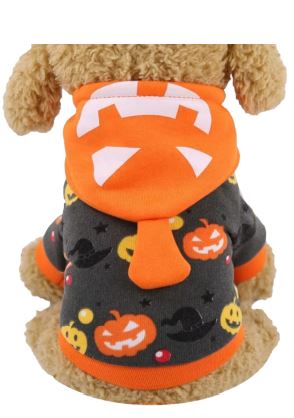 HW26 Sudadera Calabaza, Paw Pets