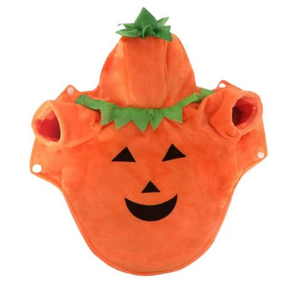 HW29 Disfraz Calabaza, Paw Pets