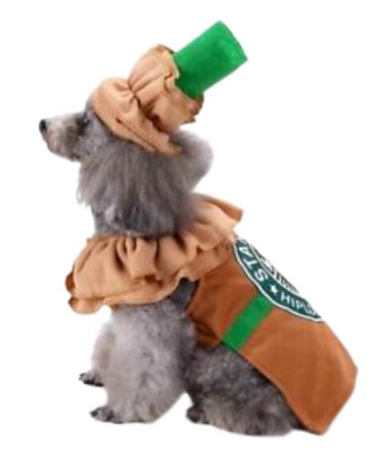 HW43 Disfraz Starbucks, Paw Pets