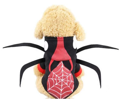 HW47 Sudadera Araña, Paw Pets