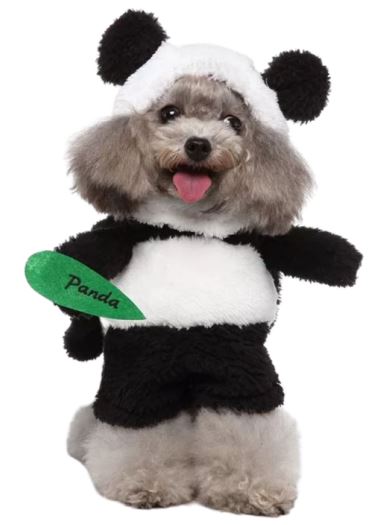HW49 Disfraz Panda, Paw Pets