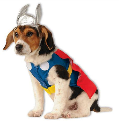HW53 Disfraz Thor, Paw Pets
