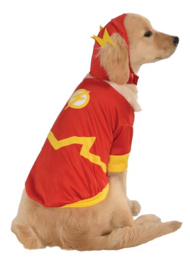 HW73 Disfraz Flash, Paw Pets