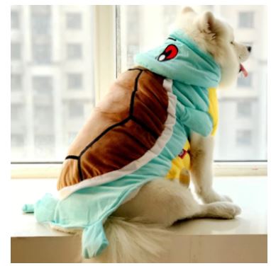 HW84 Disfraz Squirtle, Paw Pets
