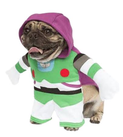 HW99 Disfraz Buzz Lightyear
