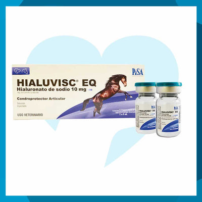 HIALUVISC EQ 10 MG - PISA