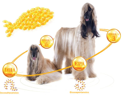 Omegatrix
