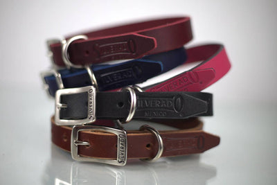 COLLAR DE PIEL LISO  - SILVERADO
