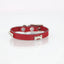 COLLAR DE PIEL CON APLICACIONES METALICAS (2 CM DE ANCHO)