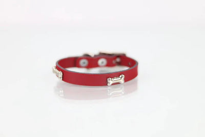 COLLAR DE PIEL CON APLICACIONES METALICAS (3 CM DE ANCHO)