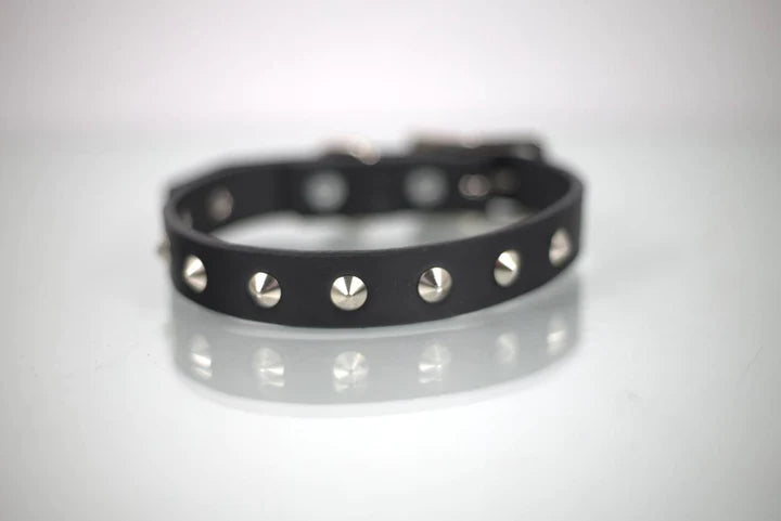 COLLAR DE PIEL CON APLICACIÓN METALICA ESTOPEROL 1CM - SILVERADO