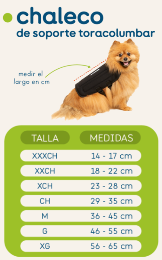 CHALECO DE SOPORTE  TORACOLUMBAR - ORTOVETS