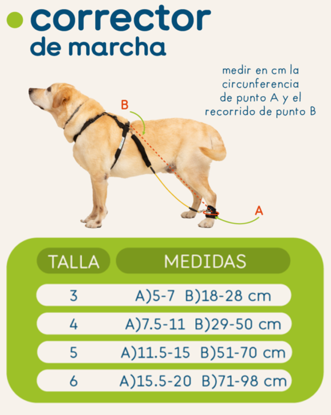 CORRECTOR-FACILITADOR DE MARCHA  PARA MIEMBRO POSTERIOR - ORTOVETS