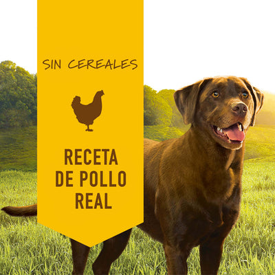 LATA DE POLLO DE 13.2 OZ (PERROS) - INSTINCT