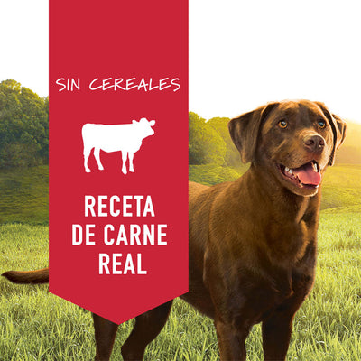 LATA DE RES DE 13.2 OZ (PERROS) - INSTINCT
