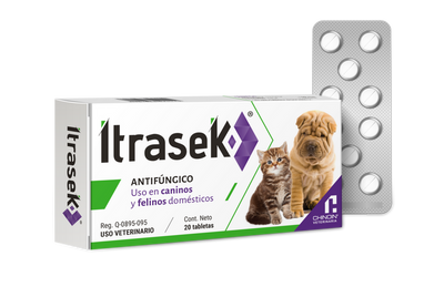 ITRASEK 100 MG 20 TABLETAS - CHINOIN