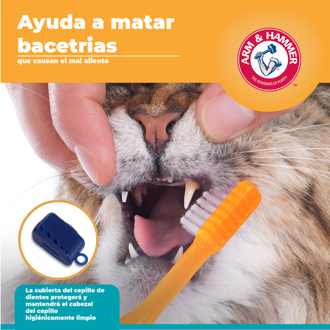 KIT DENTAL PARA GATOS SABOR ATÚN - ARM & HAMMER