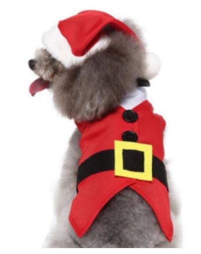NV11 Disfraz de Santa , Paw Pets