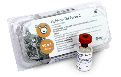 NOBIVAC DH PARVO-C 1 DOSIS - MSD