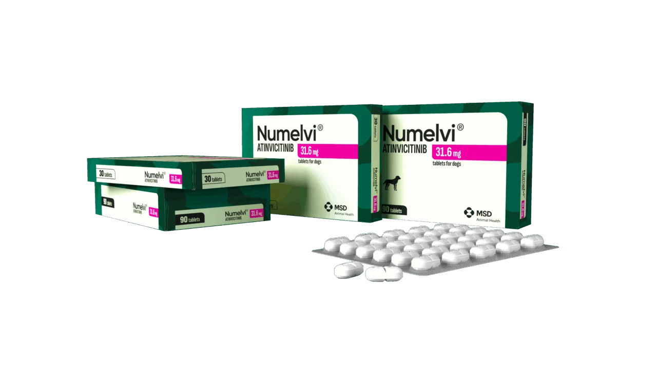 Numelvi MSD