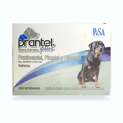 PRANTEL PLUS PISA