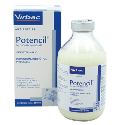POTENCIL 100 ML INY VIRBAC