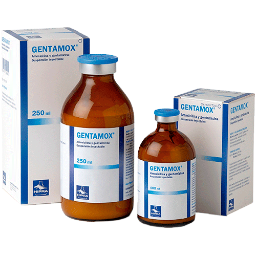 GENTAMOX 250ML - HIPRA