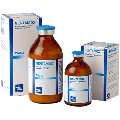 GENTAMOX 250ML - HIPRA
