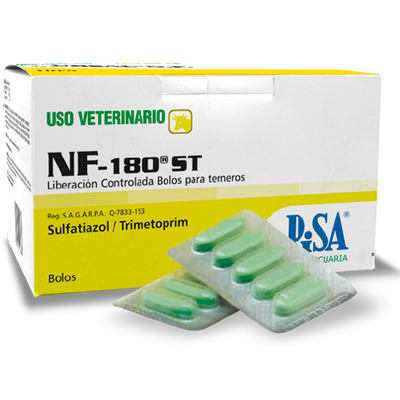 NF-180 ST 1 BOLO - PISA