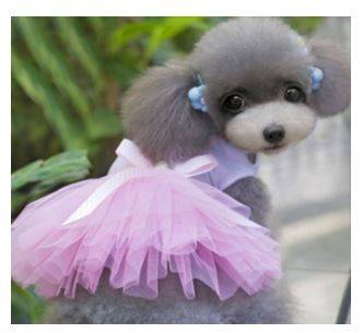 SV23 Vestido Rosa de Corazón, Paw Pets