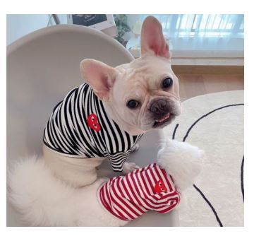 SV27 Playera de Líneas, Paw Pets