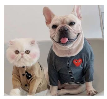 SV28 Suéter de Corazón, Paw Pets